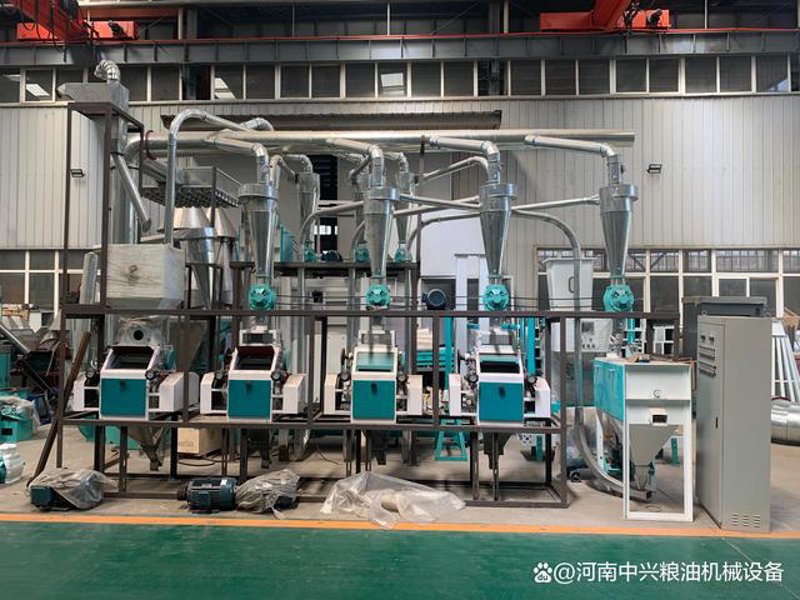 挂面产业新风向:批发市场的革新之道